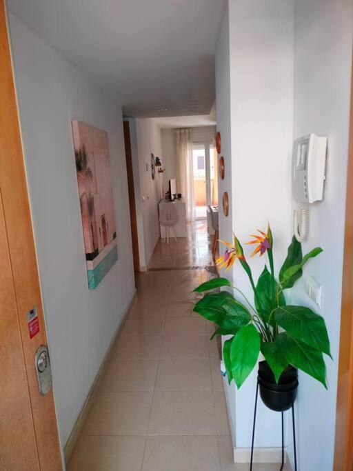 Bajo Con Jardin A Pie De Playa Y Piscina Comunitaria Con Jacuzzi Apartamento Playas de Vera Exterior foto